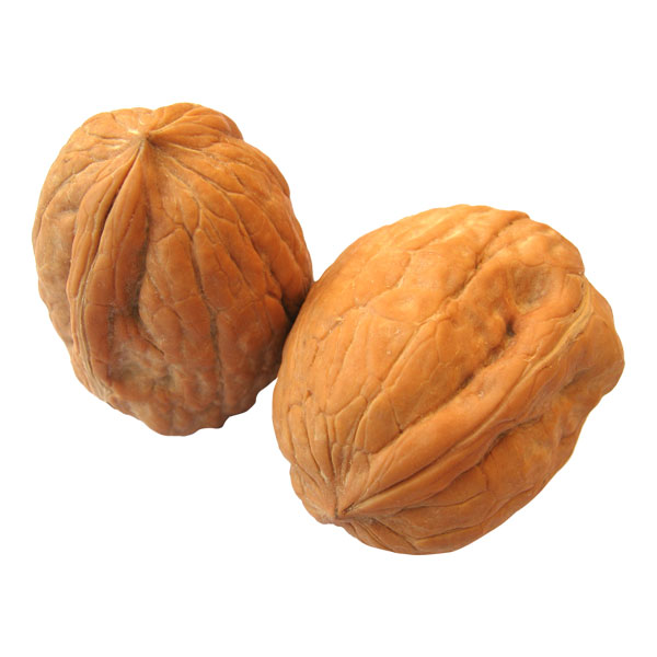 الجوز