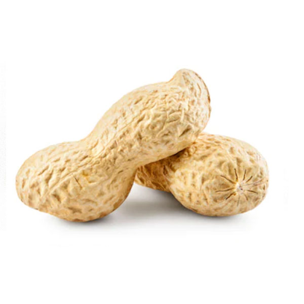 الفول السوداني