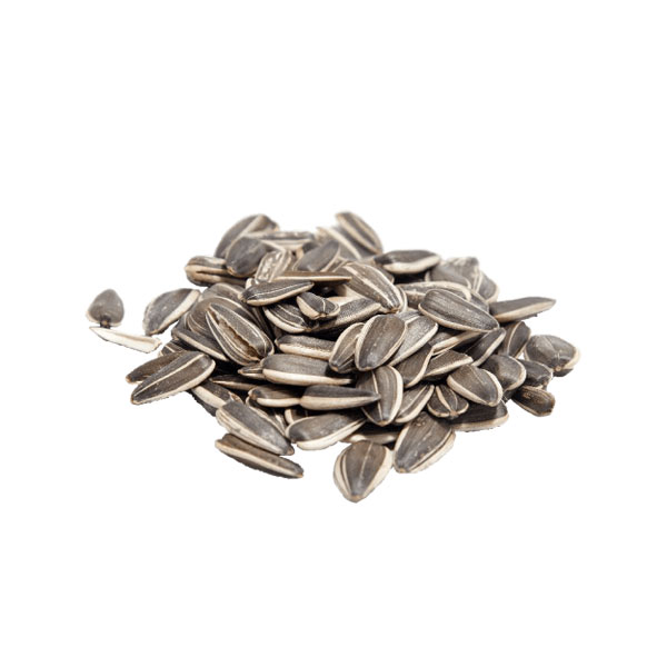 Ayçiçeği Çekirdeği